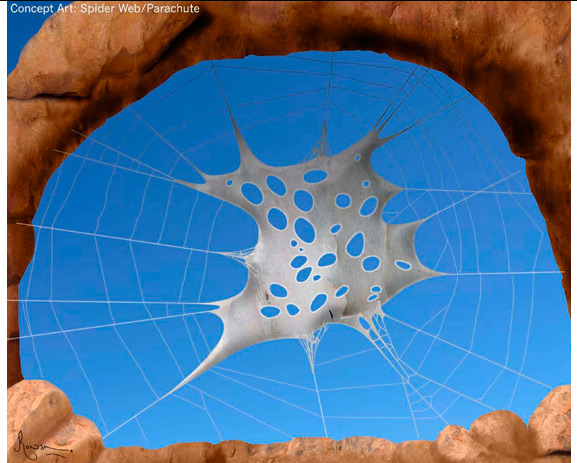 Spiderweb Concept