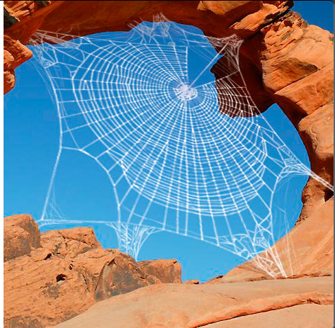 Spiderweb Concept 2